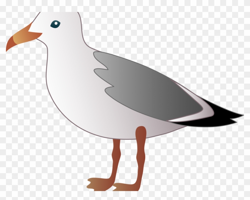 Download Sweet Seagull Images Clip Art - Download Sweet Seagull Images Clip Art #1164055