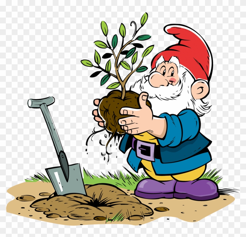 Gnome * - Gnomes #1164553