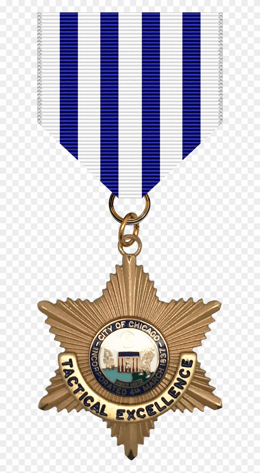 Superintendent's Award Of Tactical Excellence Medal - Superintendent's Award Of Tactical Excellence Medal #1164776