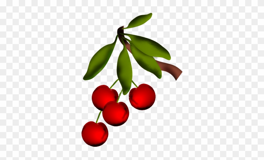 Cherries Clip Art - Clip Art #1165969