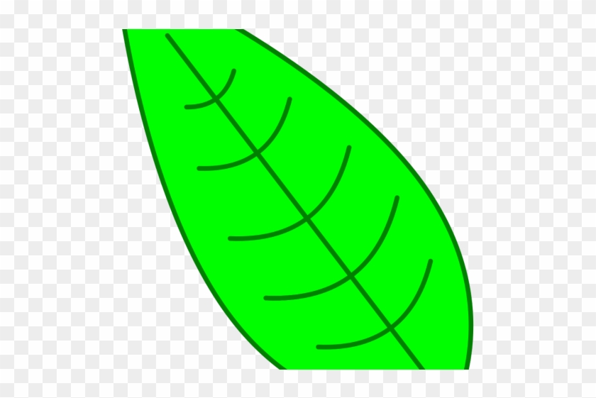 Leaf Clipart Easy - Leaf Clipart Easy #1166855