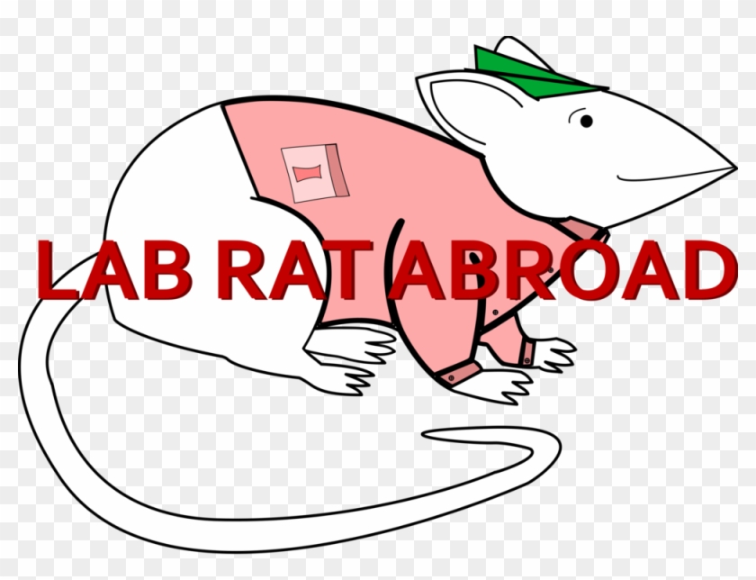 Lab Rat Abroad - Lab Rat Abroad #1167861