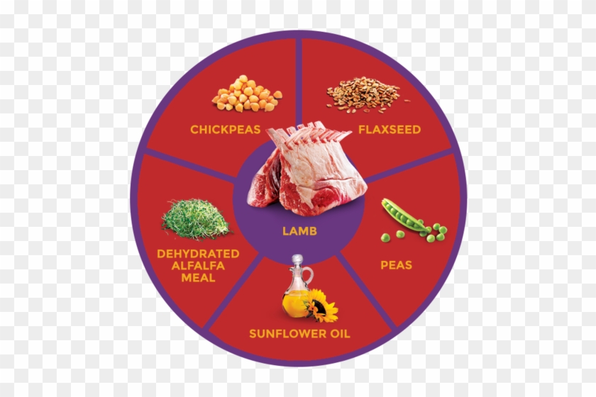 No Eggs, No Glutens, No Tapioca, No Corn, & No Soy - Kangaroo #1167950