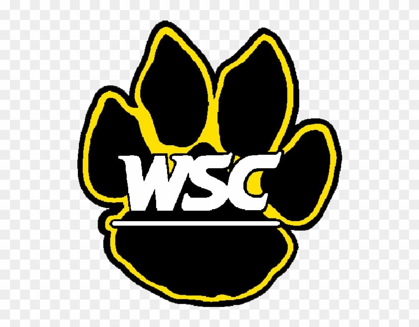 Wayne State Baseball Scores, Results, Schedule, Roster - Wayne State College Football #1168045