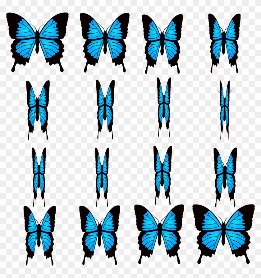 Preview - Ulysses Butterfly #1168626