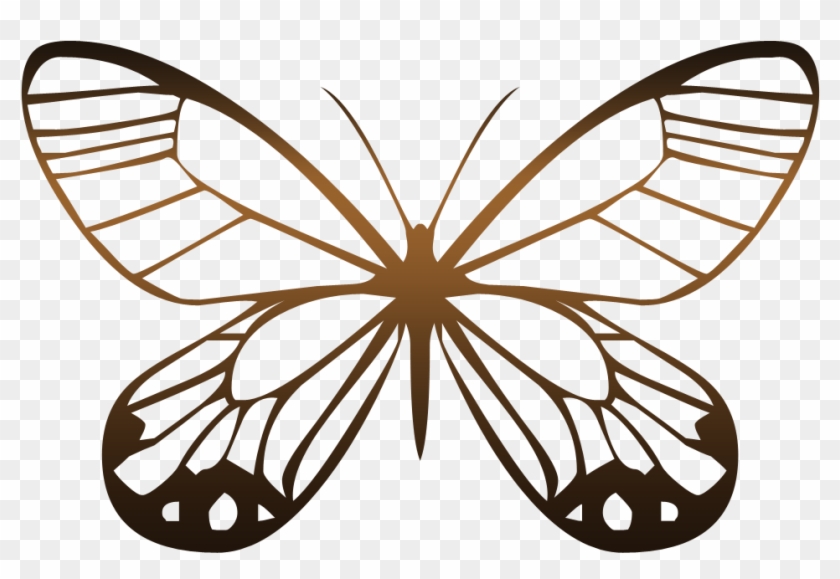 Butterfly Animation Photography - Immagini Di Farfalle Glitterati #1168643