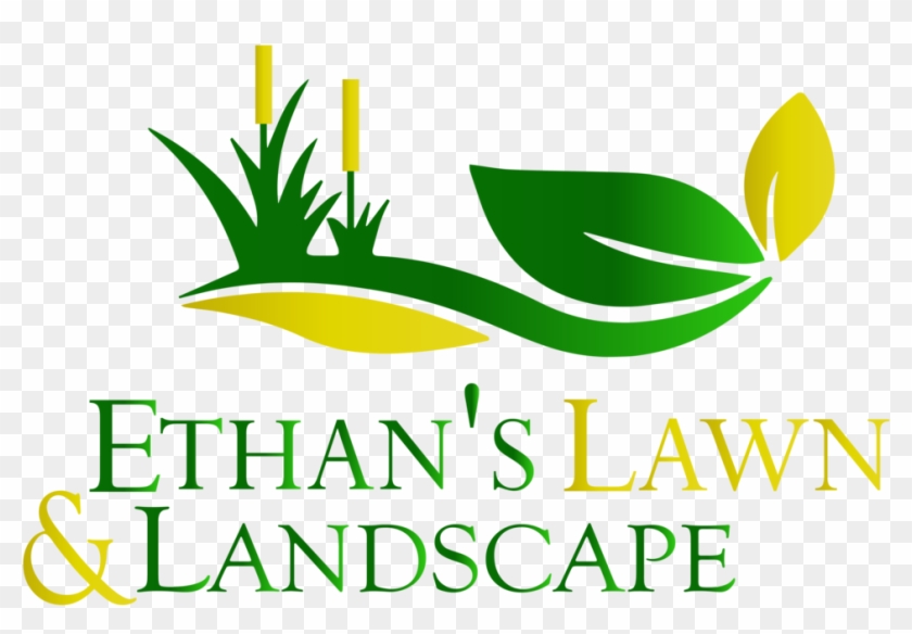   Lawn #1169004