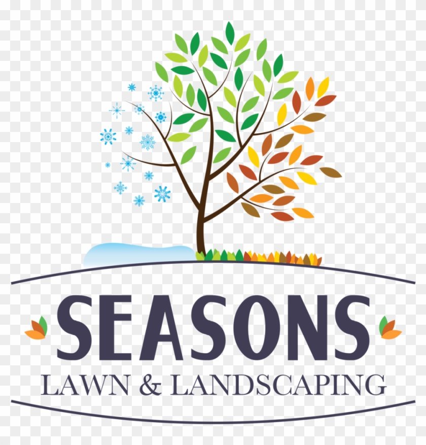   Lawn #1169008