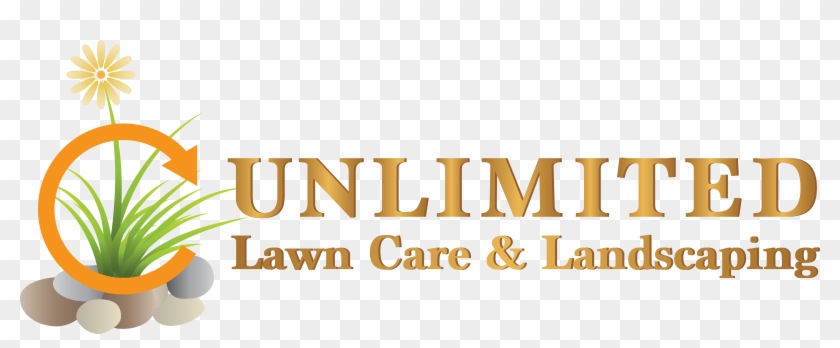 Lawn #1169028