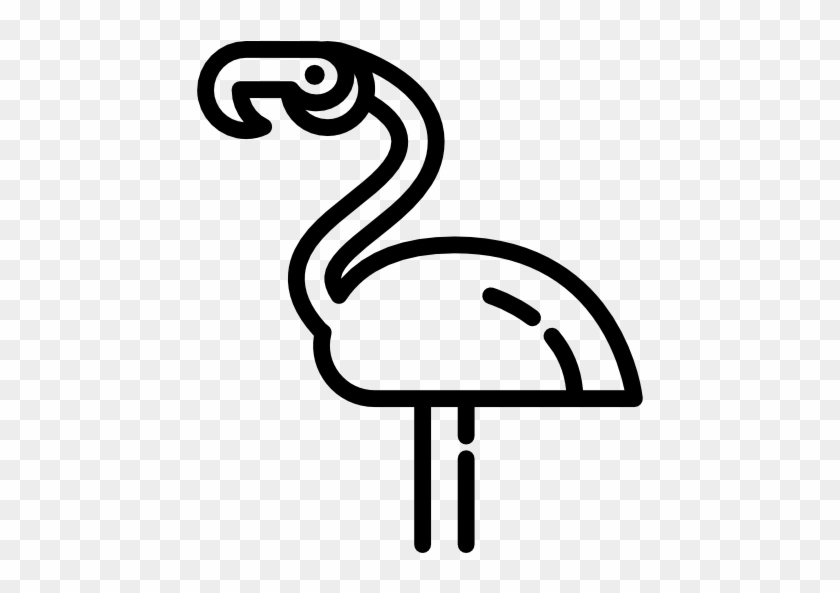 Flamingos Free Icon - Flamingo #1169573