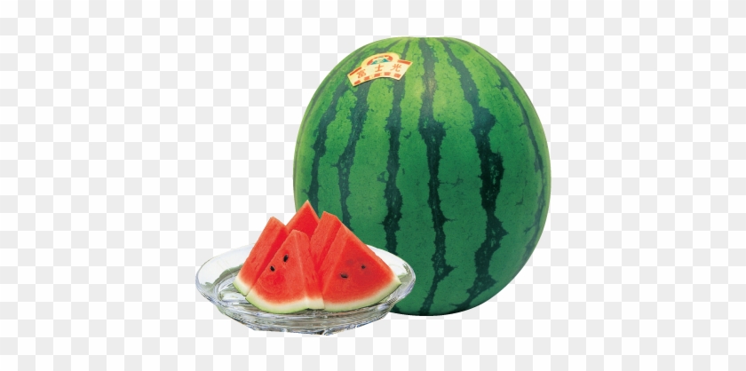 Fujihikari - Suica #1169735