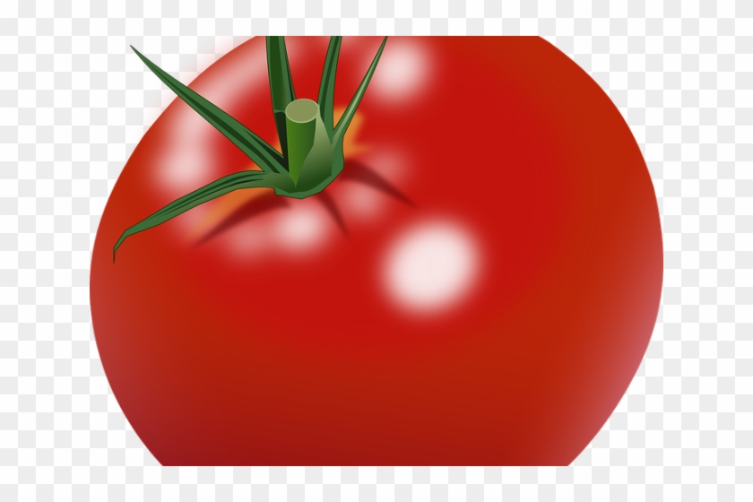Tomato Clipart Real - Growing Tomatoes: Basics For The Beginner [book] #1170305