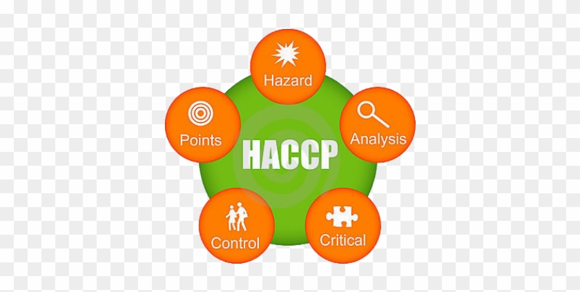 Food Technology Coursework Haccp Food Technology Coursework - Haccp #1170324