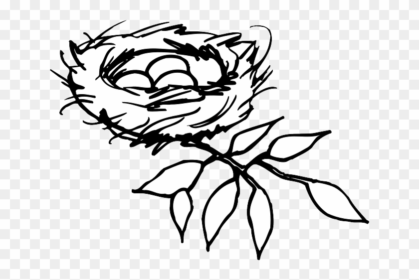 Nest, Eggs, Birds, Branch, Mystery, New, Life, Care - Nest Clipart Black And White #1171157