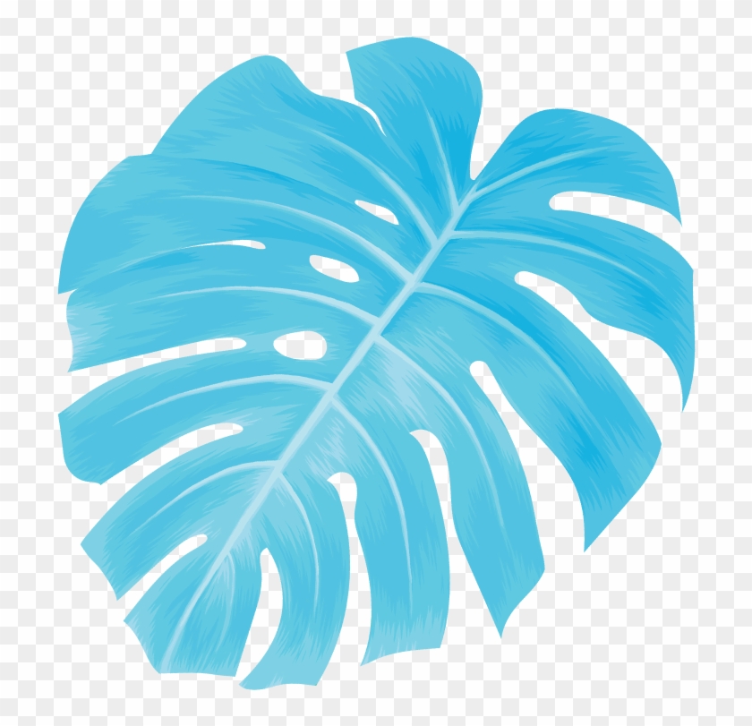 Swiss Cheese Plant #1172524