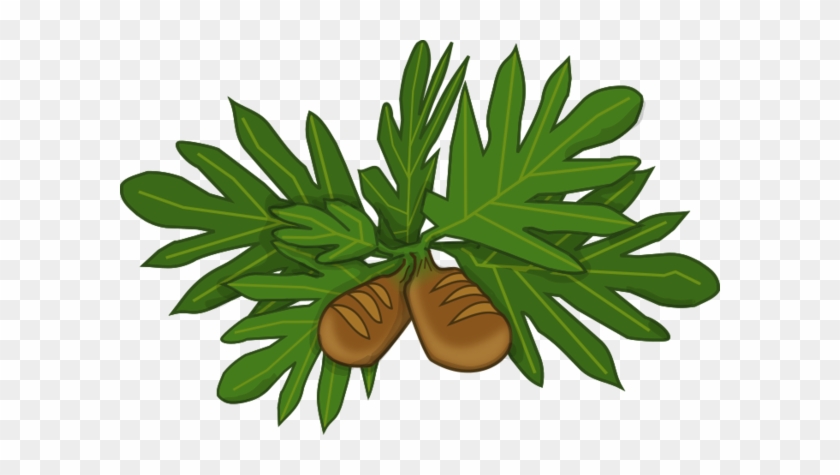 Bread Fruit By Doctormo - Mexican Pinyon #1172549