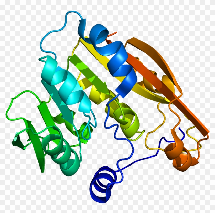 Thiopurine Methyltransferase #1174512