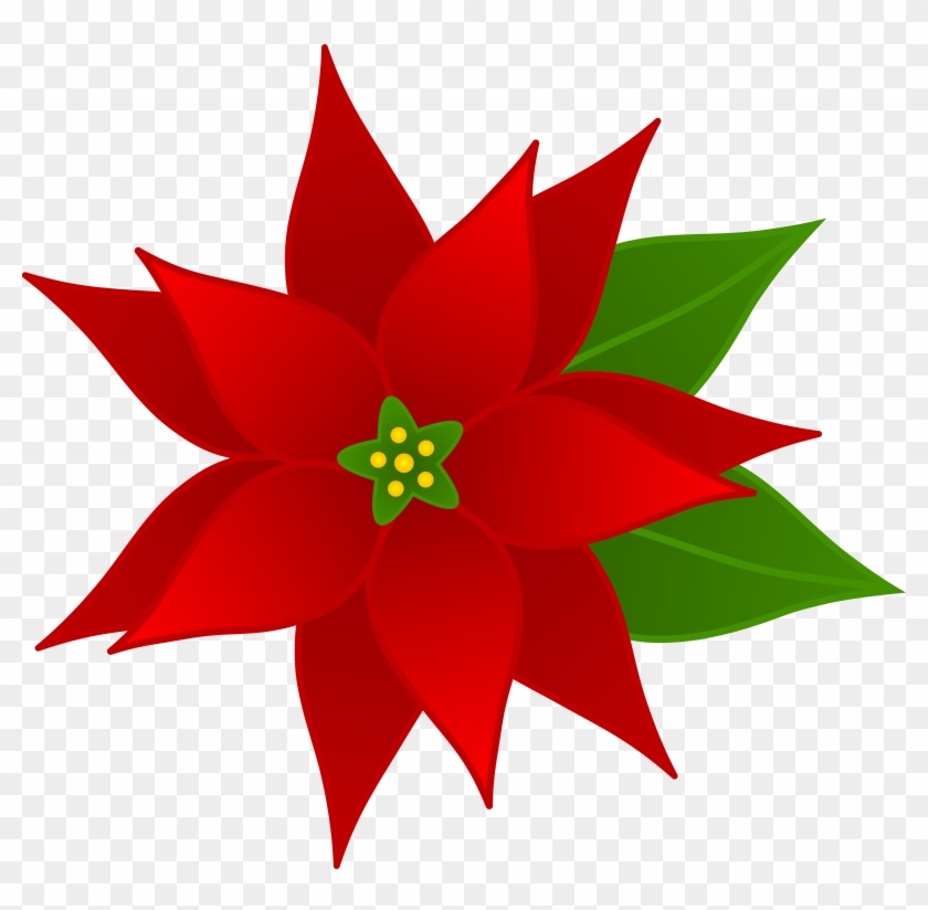 Free Clip Art - Poinsettia #1175226