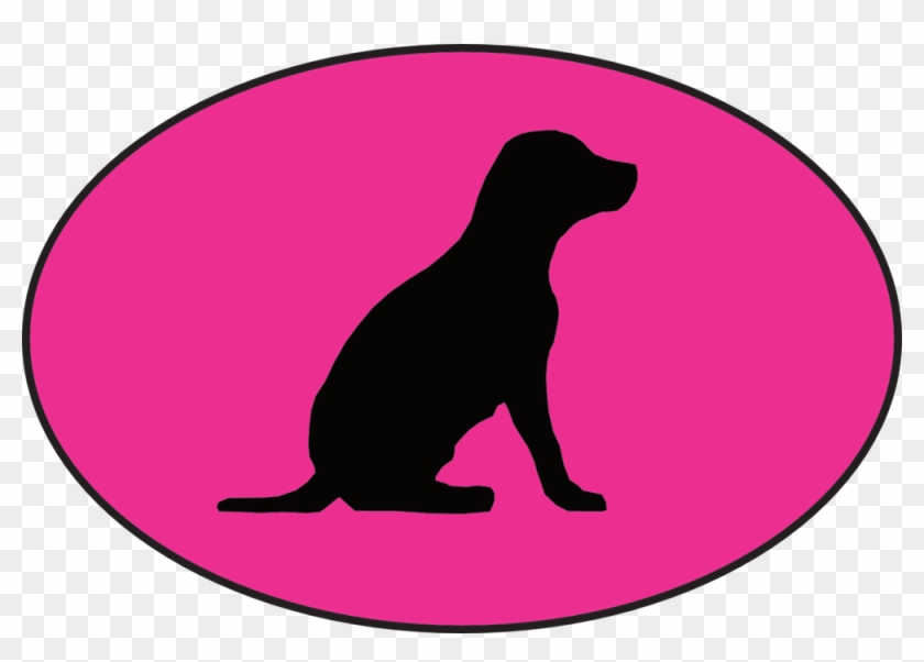 Pup Shadow Website - Pup Shadow Website #1175626