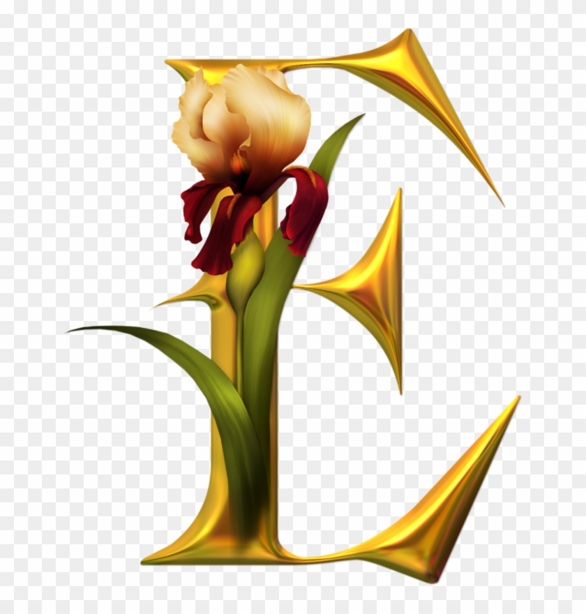 E - Alfabeto De Orquideas #1175656
