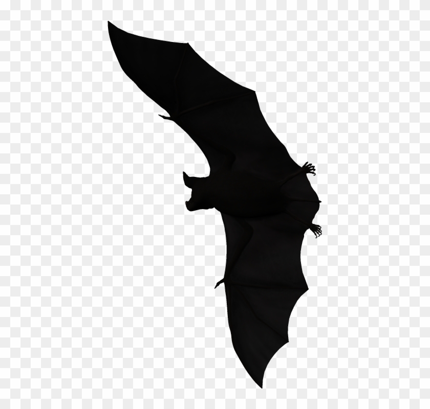 Bat-040 - Bat #1176098