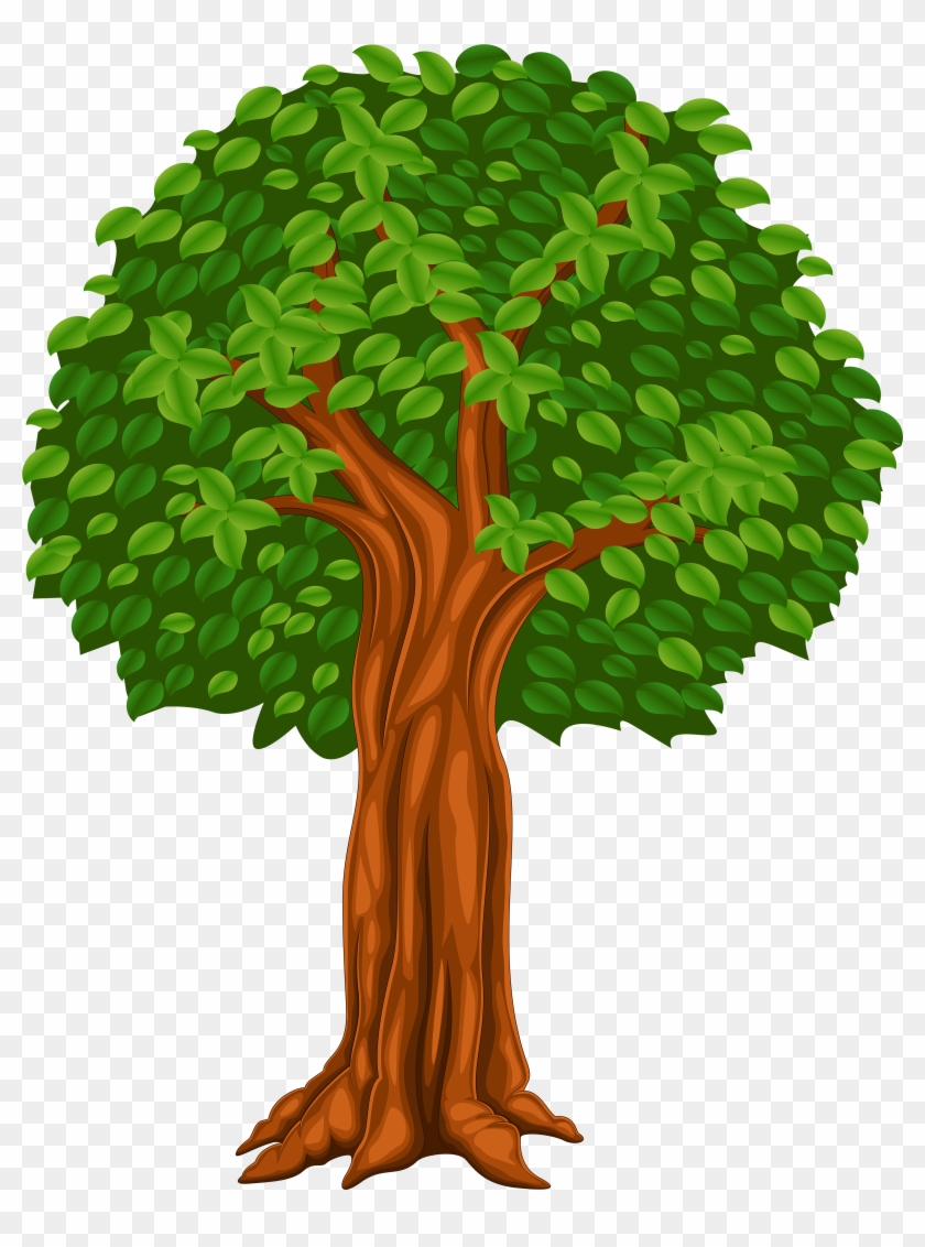 Tree Cartoon Png Clip Art Image - Vector Graphics #1177010