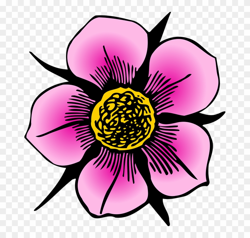Collection Of Flower Petal Clipart - Plants And Flowers Clip Art #1177884
