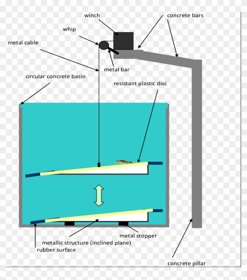 Download - Diagram #1180520