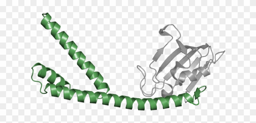 <div Class='caption-body'>1 Copy Of Cath Domain - Structure Of Camp #1181296