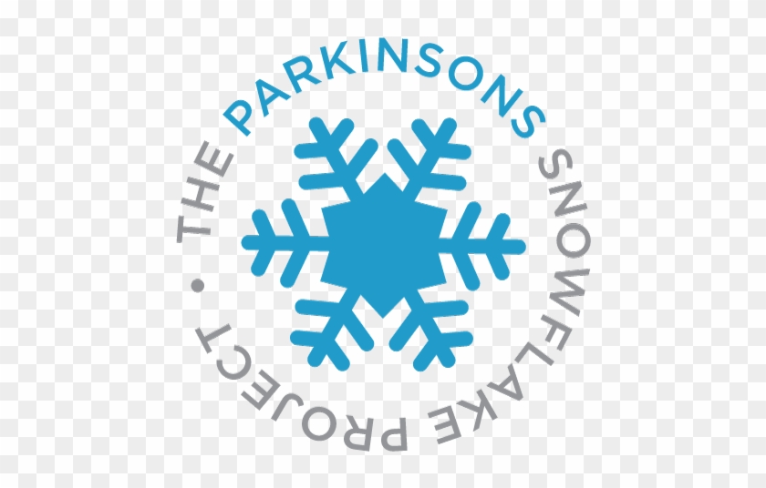 The Snowflake Project - Project Management For The Unofficial Project Manager #1181553