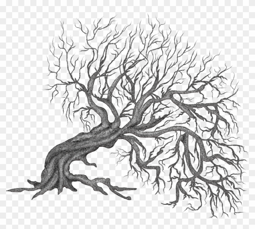 Winter Trees Painting Tree, Clipart Illustration, Png - Winter Trees Painting Tree, Clipart Illustration, Png #1181881