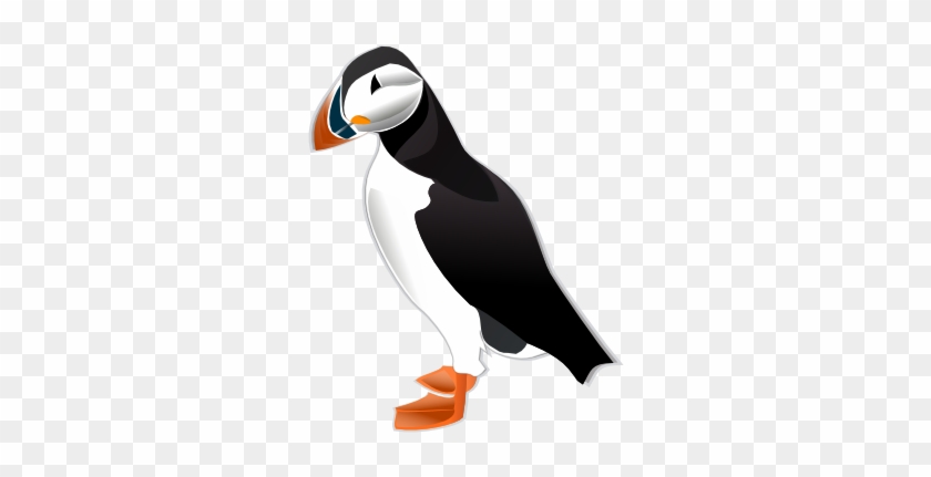 Puffin Clip Art - Interpreting Graphics Taxonomy Worksheet Answers #1182421