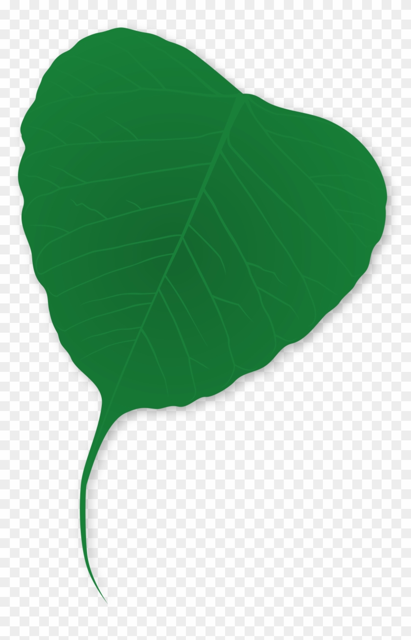Leaf - Plants #1182597