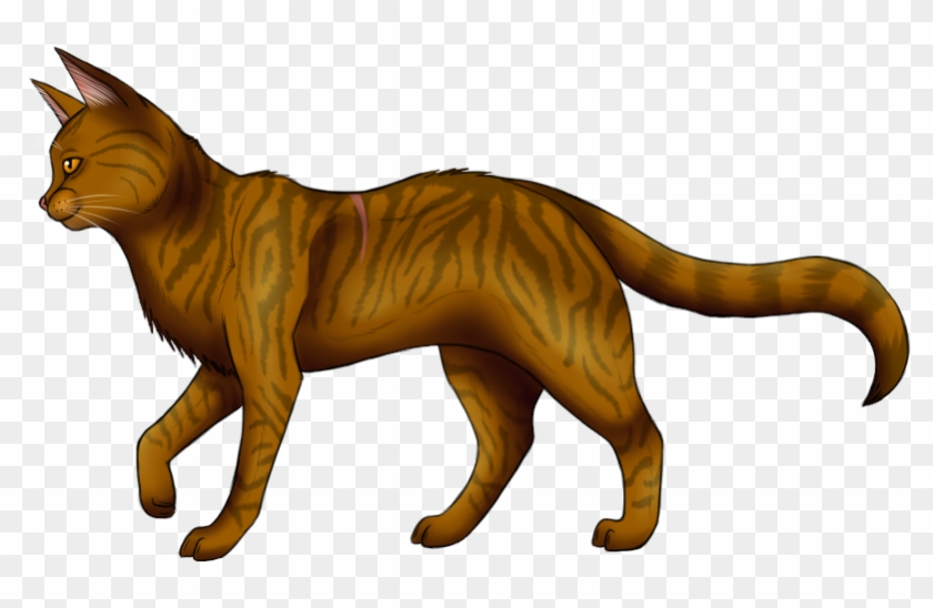 Warrior Cats Thunderclan Brackenfur - Brackenfur Warrior Cats #1183275