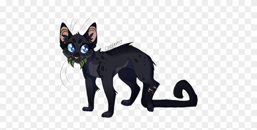 Warrior Cats Cinderpelt Medicine Cat Thunderclan - You Do What You Can For As Long As You Can, And When #1183285