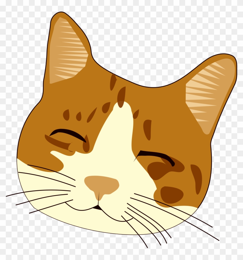 Attibution Is Required- In Order To Use A This Photo - Cat Yawns #1183414
