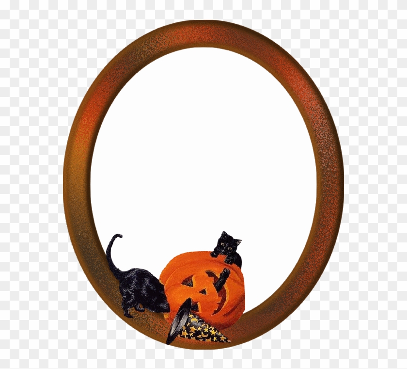 Black Cat #1183466