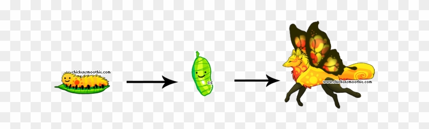 When You Adopt Them, They Begin Life As A Little Caterpillar - Caterpillar Turn Into Butterfly #1183981