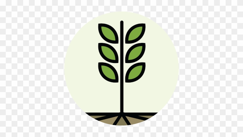 Here Are Five Simple Truths About Farming With Profound - Circle #193188