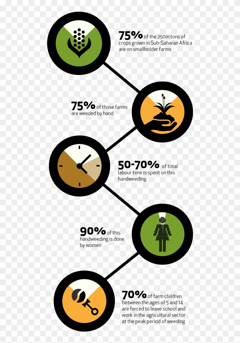The Female Face Of Farming - Fao Aque Se Dedica #193228
