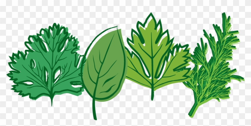 Herbs Clipart Transparent - Home Farmer Herb Seed Kit #193346