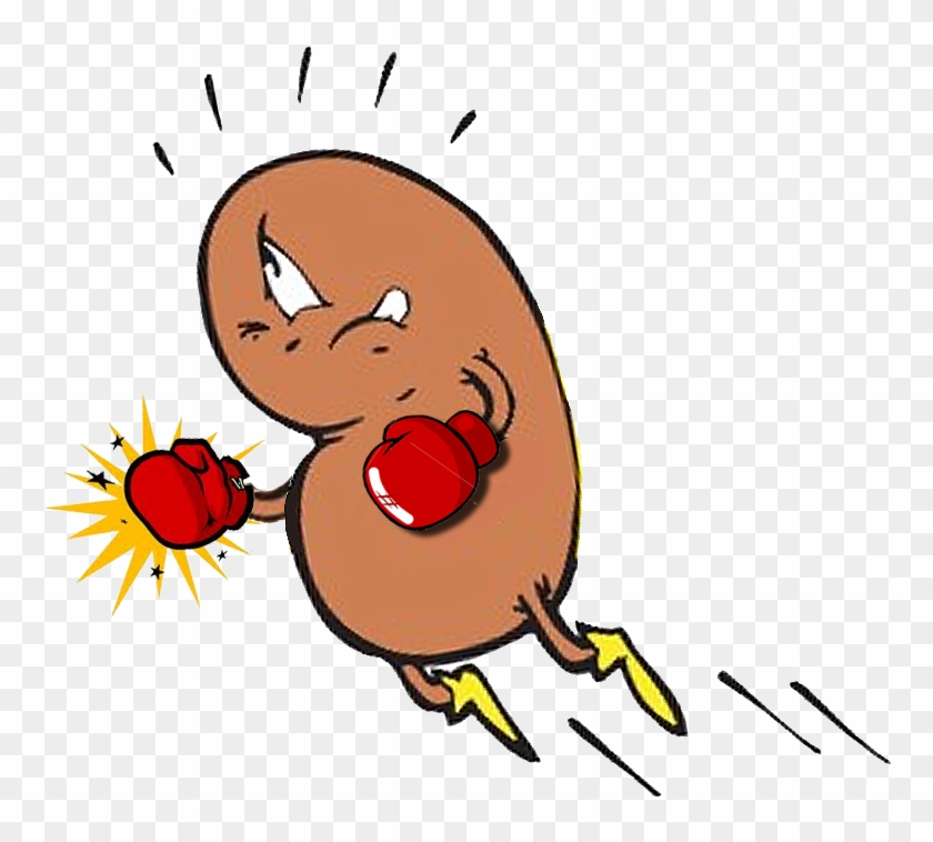 Refections Of A Veteran Chili Cook-off Contestant - Kidney Cartoon #193864