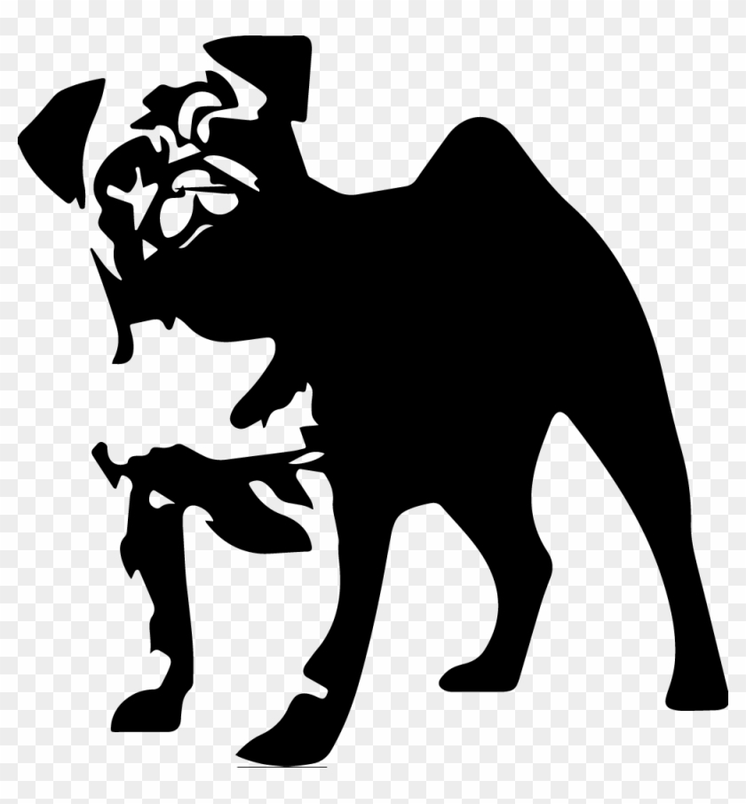 It's True I'm A Crazy Pug Lady T Shirt, I Love My Dog #194718