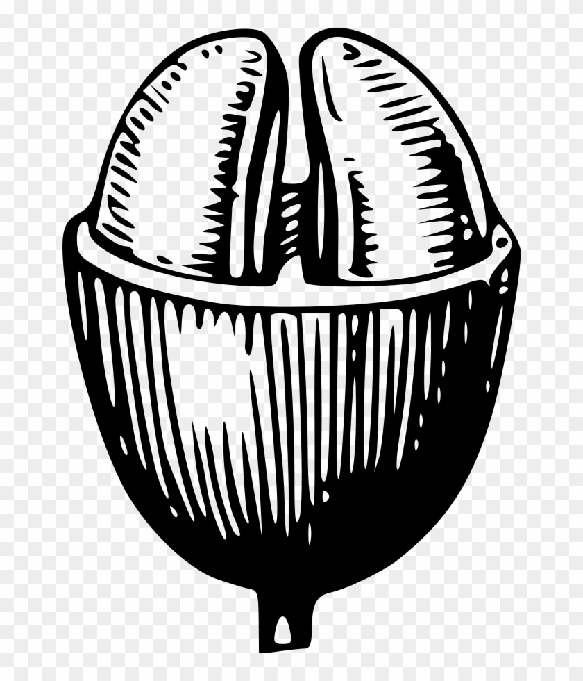 Coffee Bean Png Clip Arts - Coffee Bean Line Art #194849