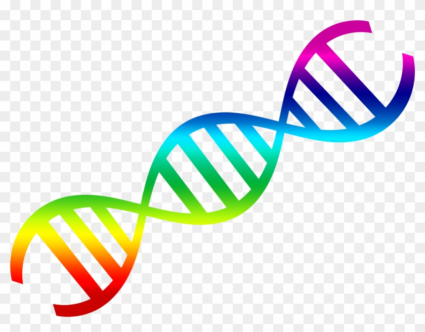 Pngpix Com Dna Vector Png Transparent Image - Dna Double Helix Clipart #195902