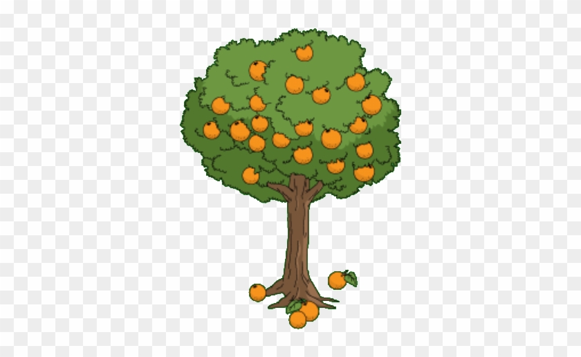Orange Tree - Orange Tree #1185624