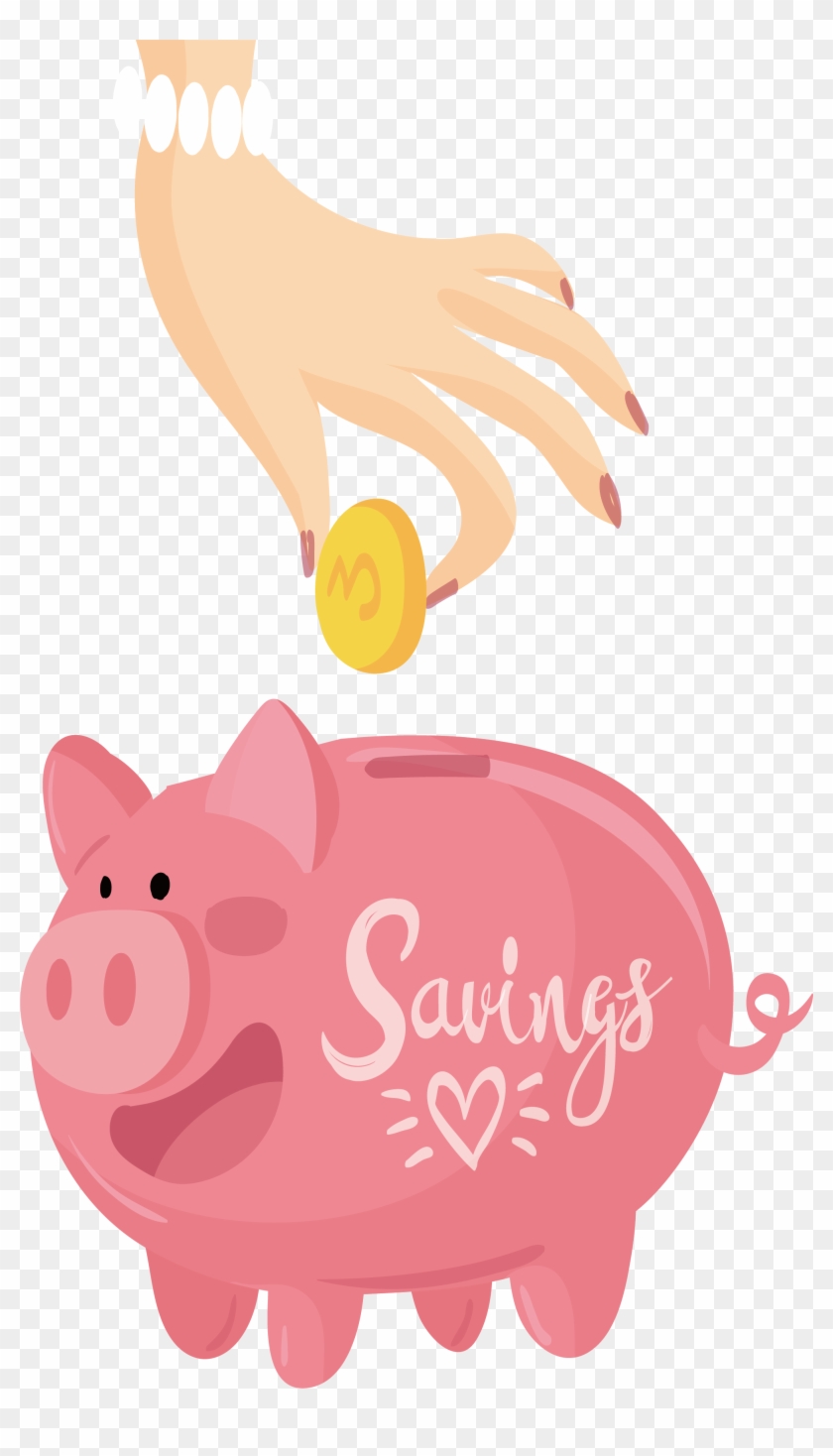 Domestic Pig Piggy Bank Gold Coin Alcancxc3xada - Alcancia Png #1185655