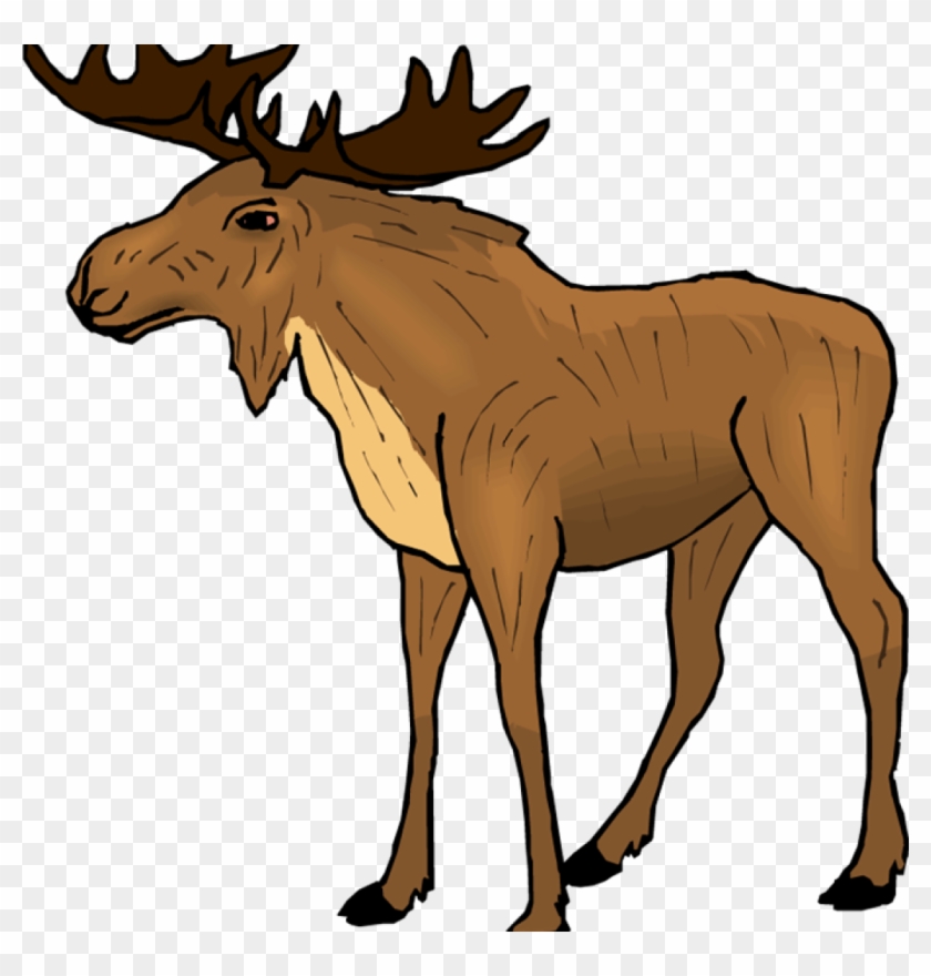Moose Clipart Top 75 Moose Clip Art Free Clipart Image - Moose9168 Picture Ornament #1186026
