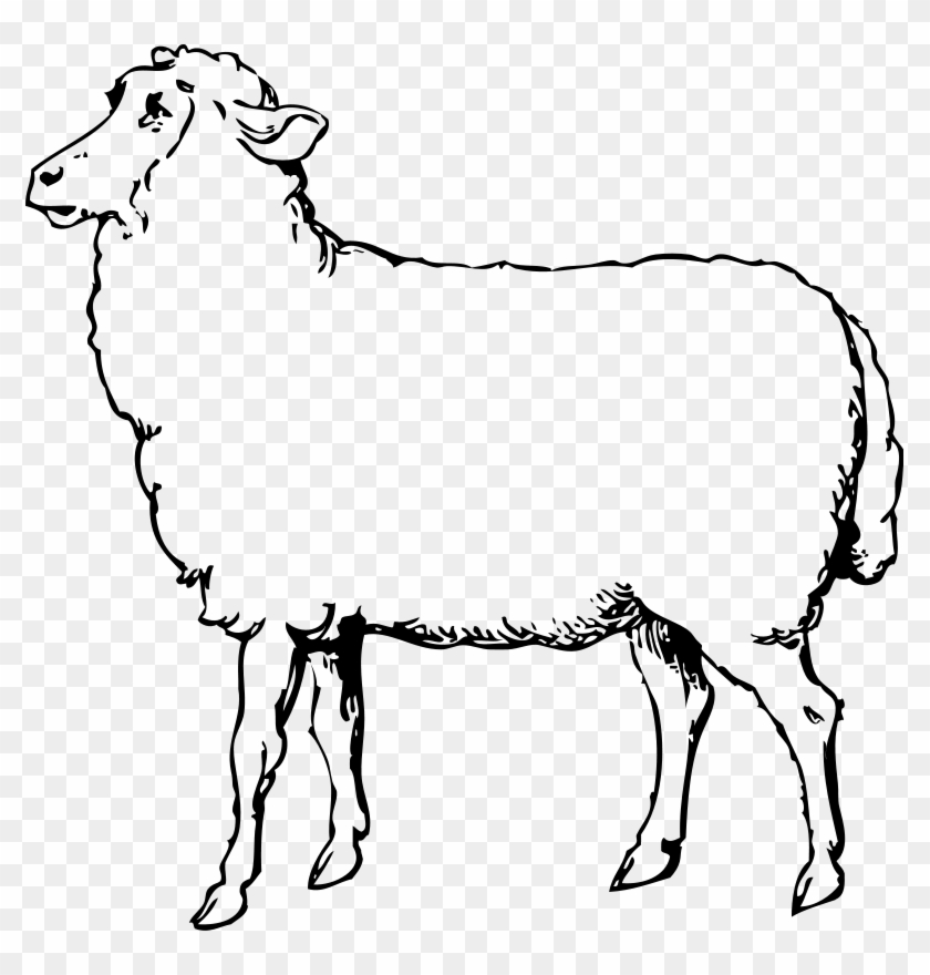 Sheep Surprised Happy Bw Clip Art Download - Sheep Shearing: How To Shear A Sheep Step By Step With #1186170