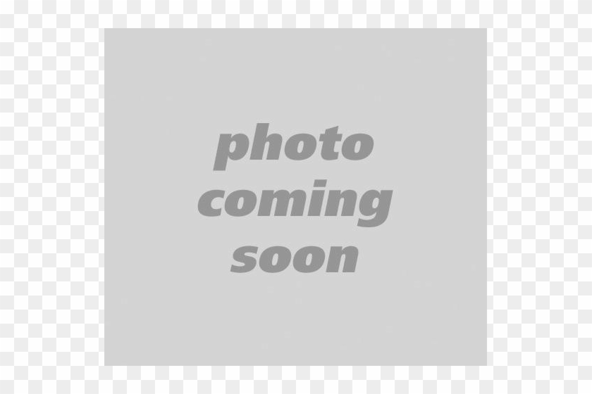 Manor Elementary School - Beige #1186824